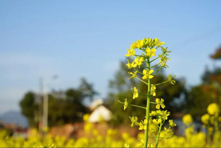 春季該如何預(yù)防控制高血壓？